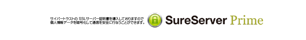 SSL証明ロゴ